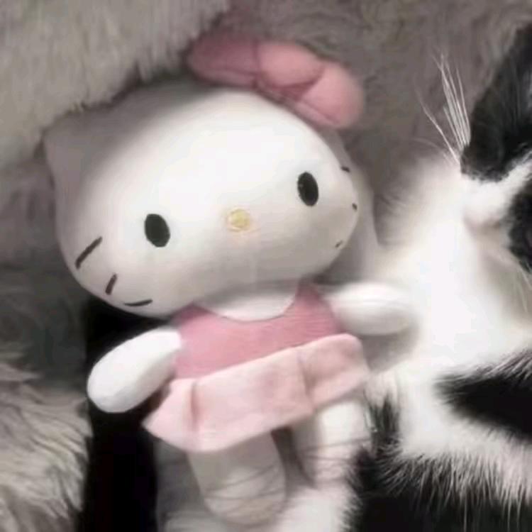 烤蛋挞