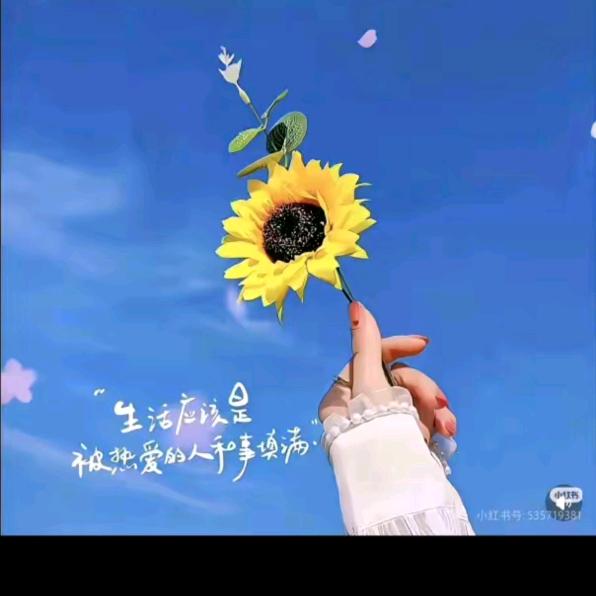 简简单🌻