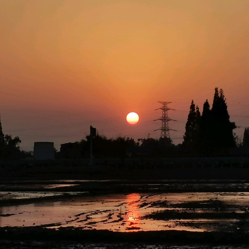 三山五岳小菜工艺橱窗（@互，关必回）