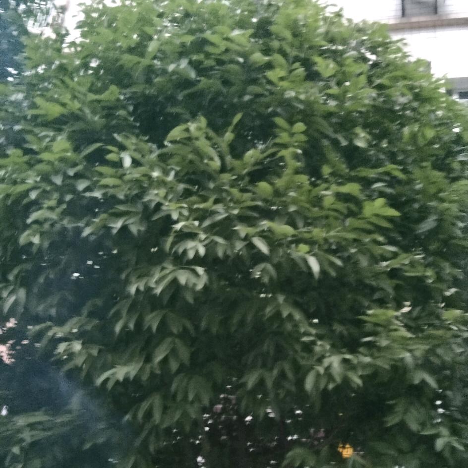 扬起风帆