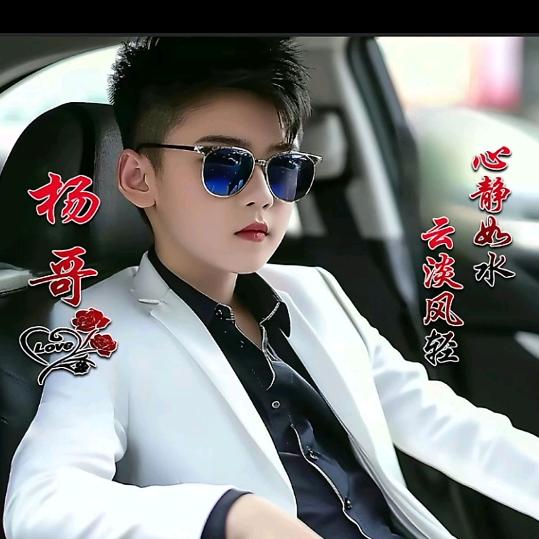一路向杨