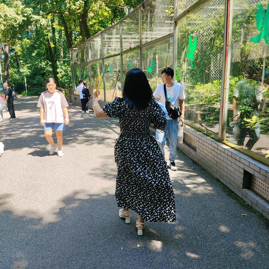 独立云单白鹤