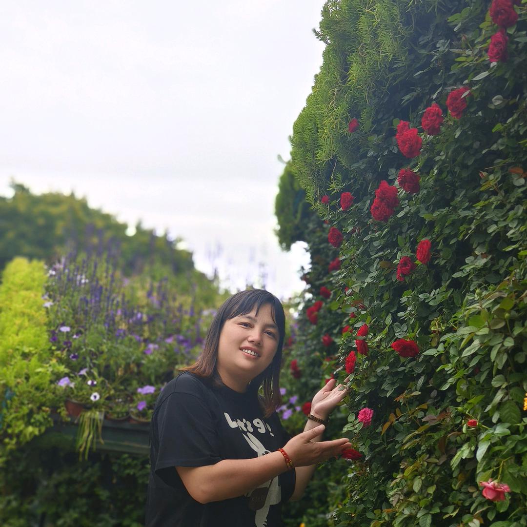 开心快乐☞燕子