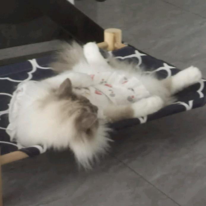 金福禄