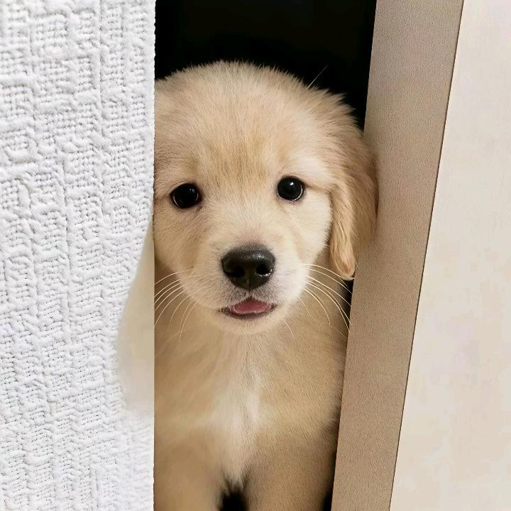 就这样吧