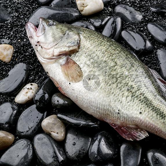 江苏特种水产养殖