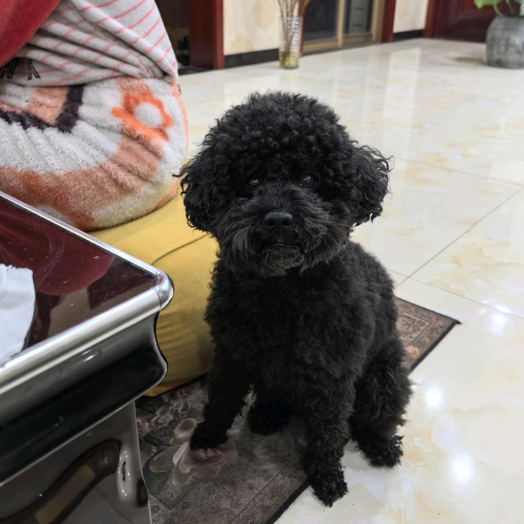 我的