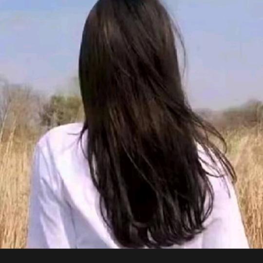 🍄柠檬茶887🍄