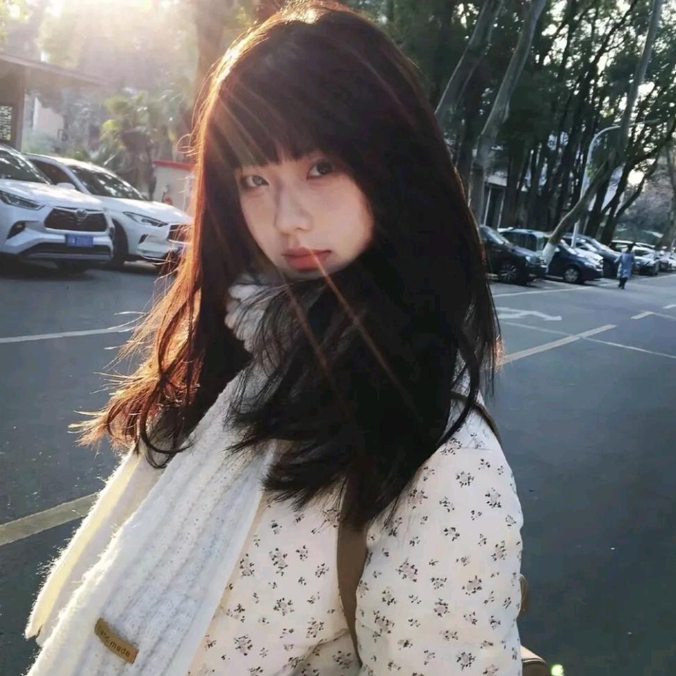 菲菲鱼-