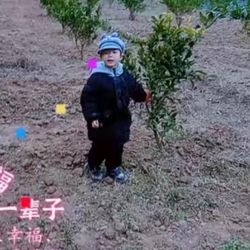 蒋老三