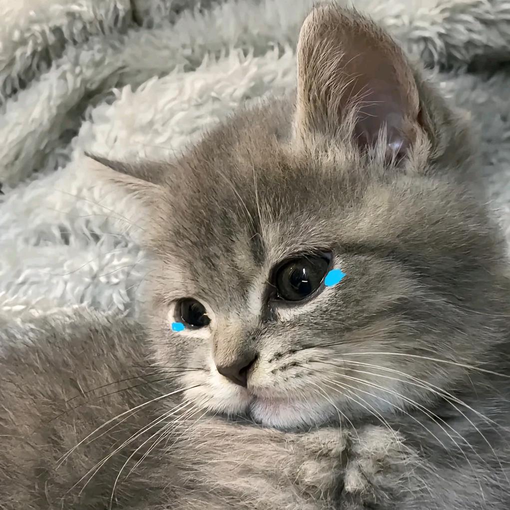 ☜༨ꫛꪝᝰ෴ ۣ
