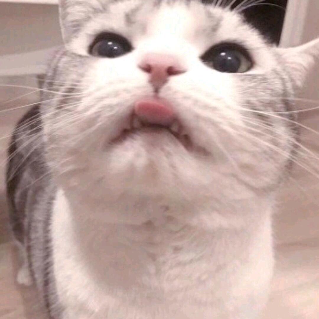 Hy.崔少