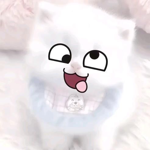 诗意.