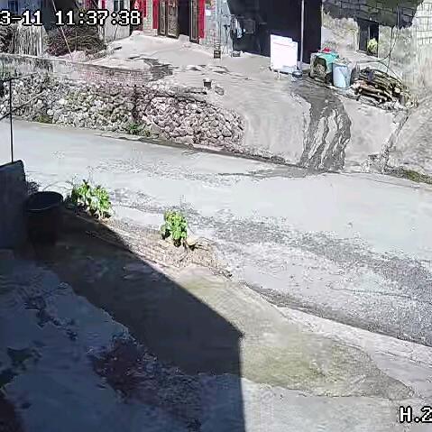 贵州紫云 楊