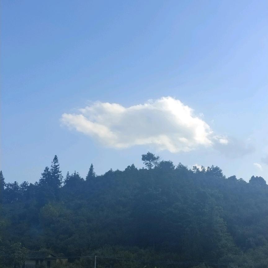 全屋定制家具