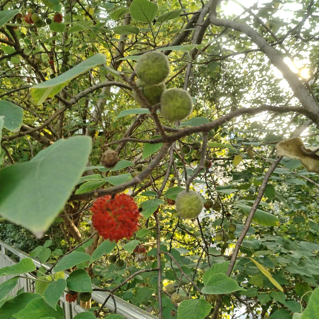 吾爱轩
