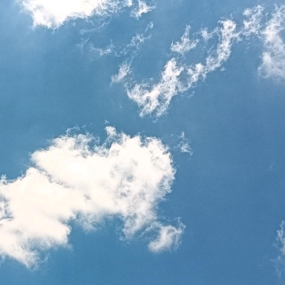 营养杯，育苗杯！