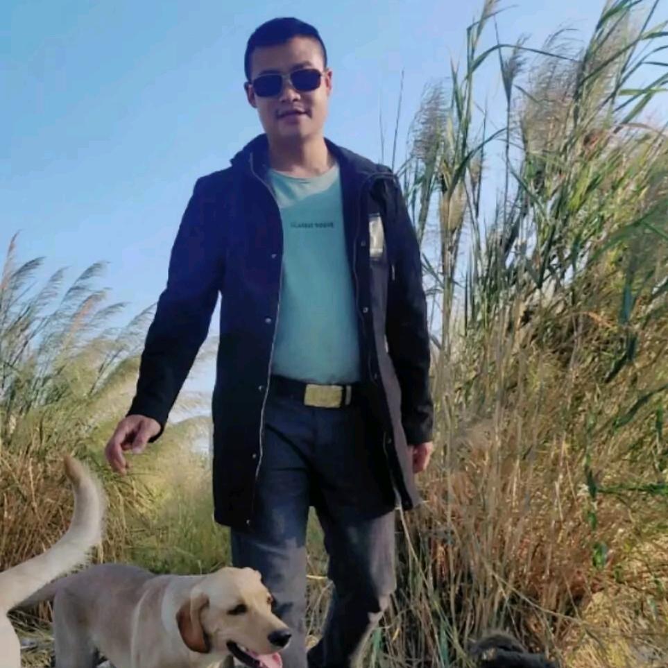 冷明★阿明犬舍