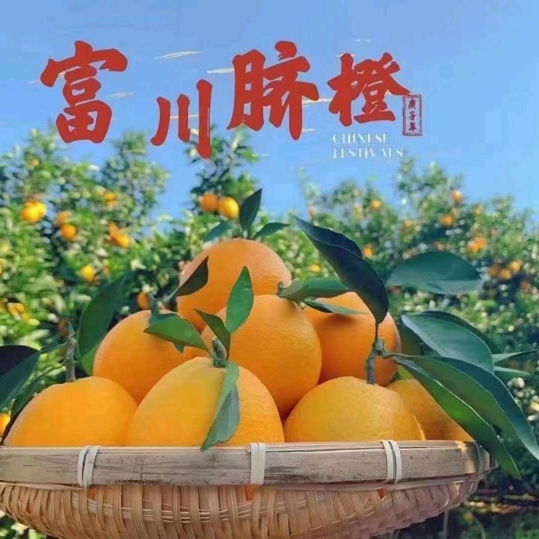 钟年人