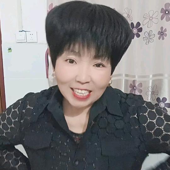 席花菊