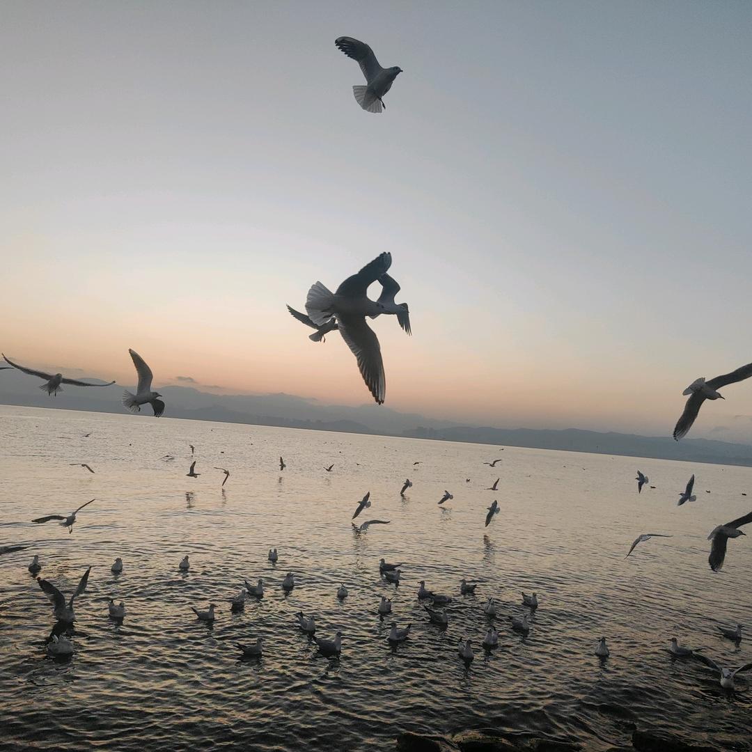 💋游山别恋💋