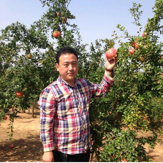 田师傅，网红海鲜烧烤下酒菜