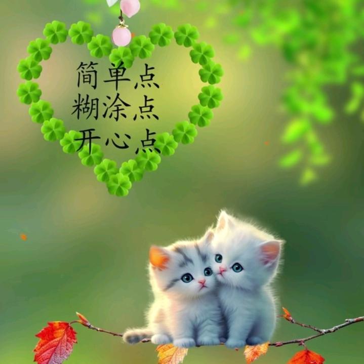 过好每一天