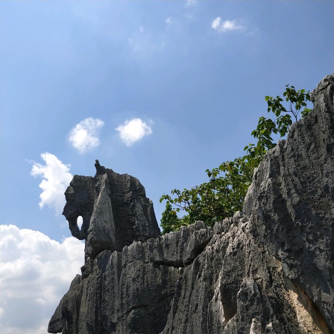 天山来客