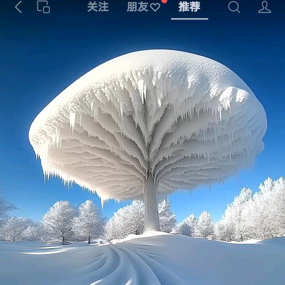 雪莲