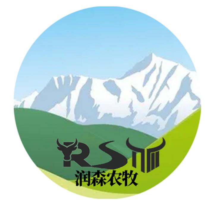 西藏养雅江雪牛的陈小五