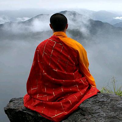 智善