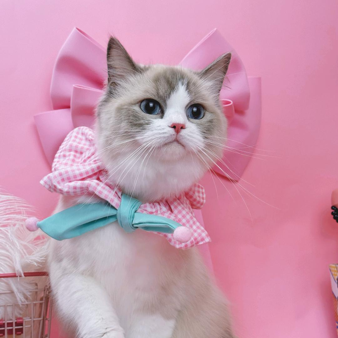 阿茗♡ᴬᵇ