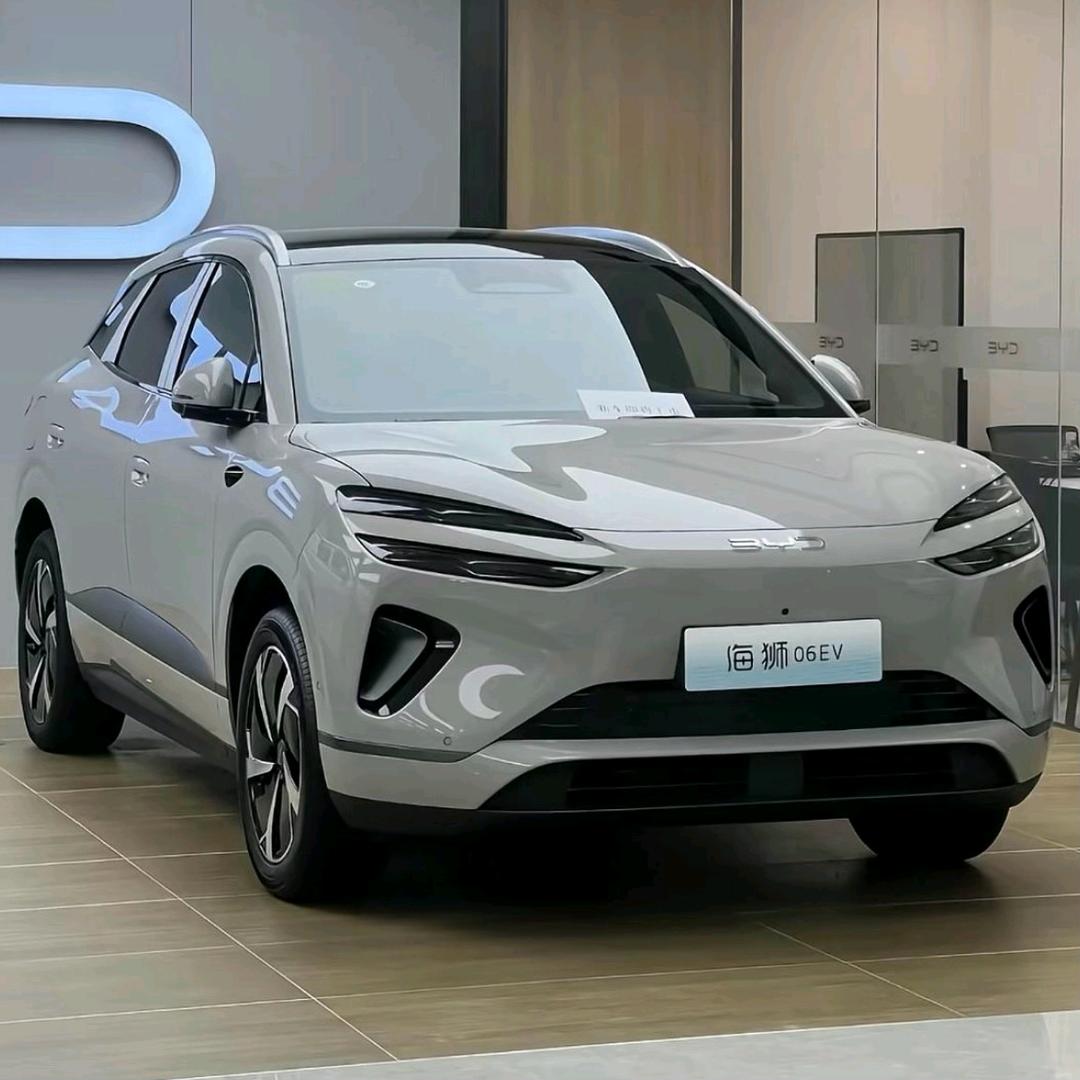 比亚迪-海狮06