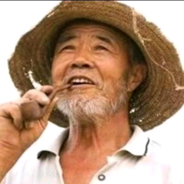 从头再来