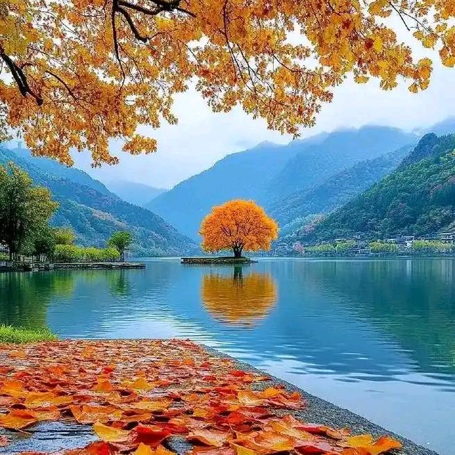 張এ家এ公এ子⁵²º᭄এ