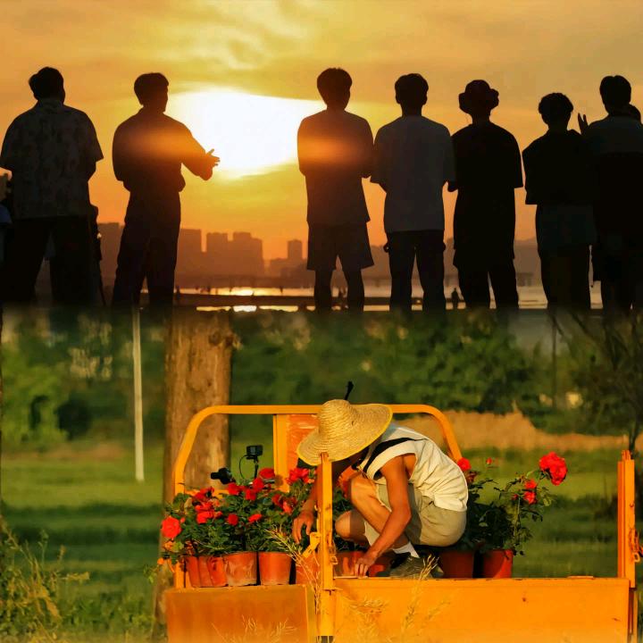 上岸上岸一起上岸