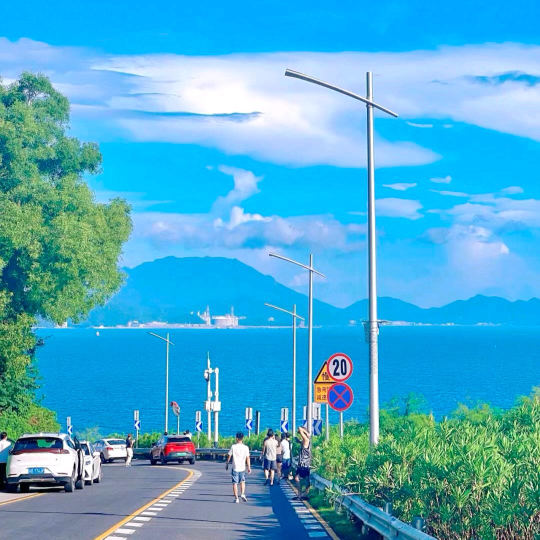 东东哥