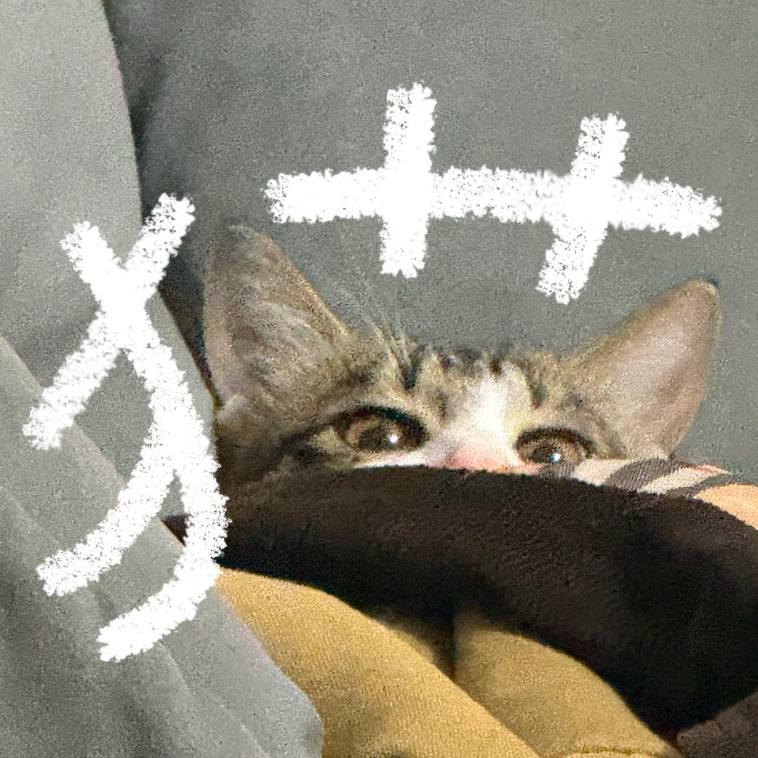 七天（emo版）