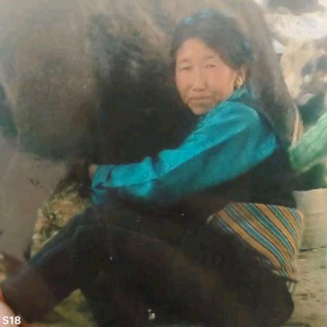 起风了.