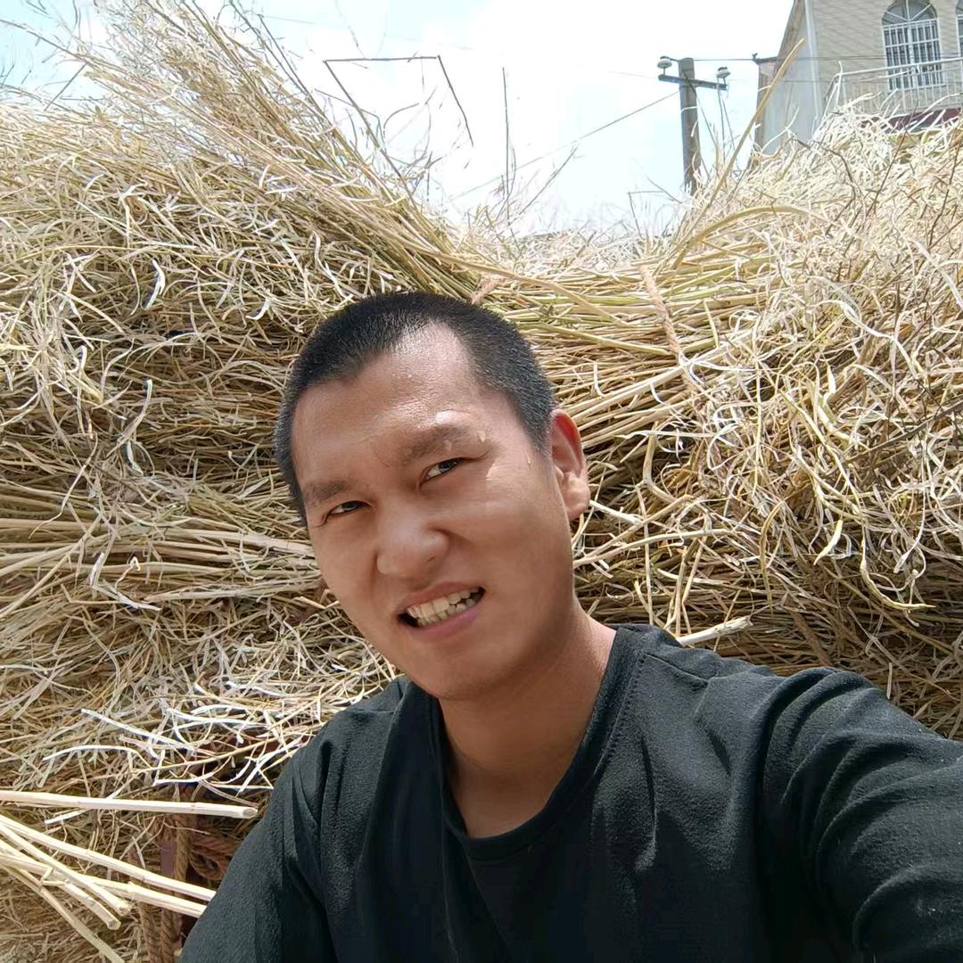 农村魏少爷