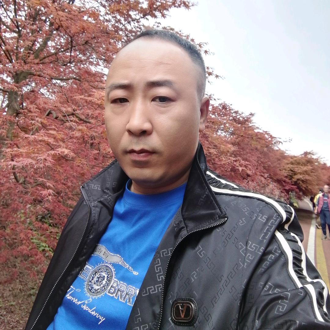 ii张先森