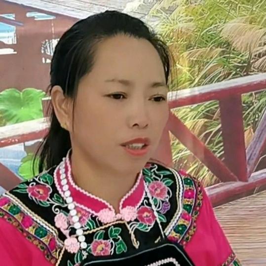 真烦不定时开播