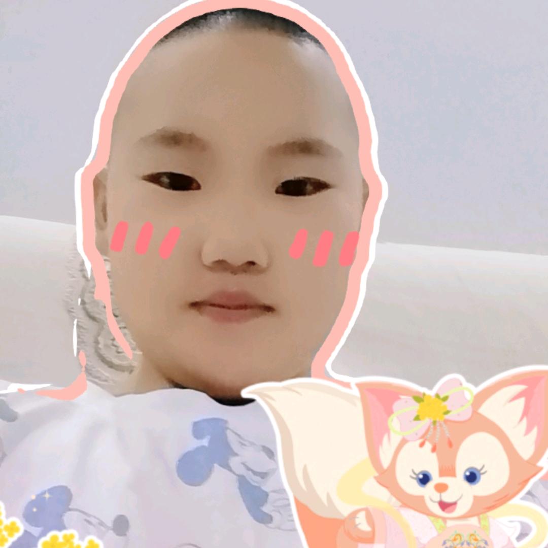 胖胖菊