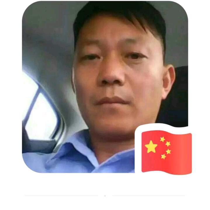 车集路赛鸽电动车