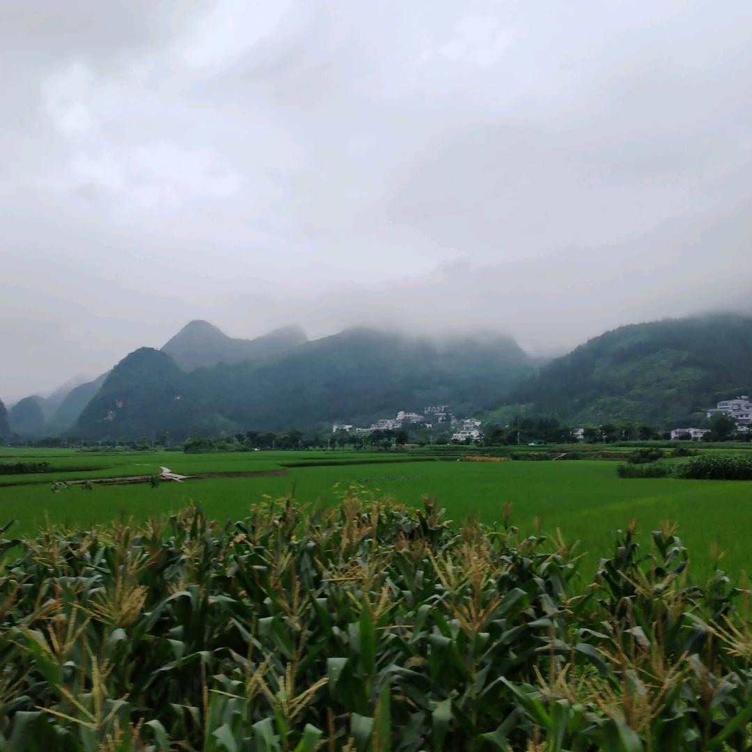每天快乐。
