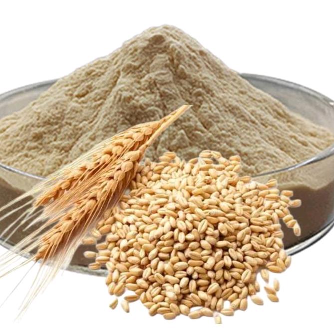 金焙小麦胚芽粉