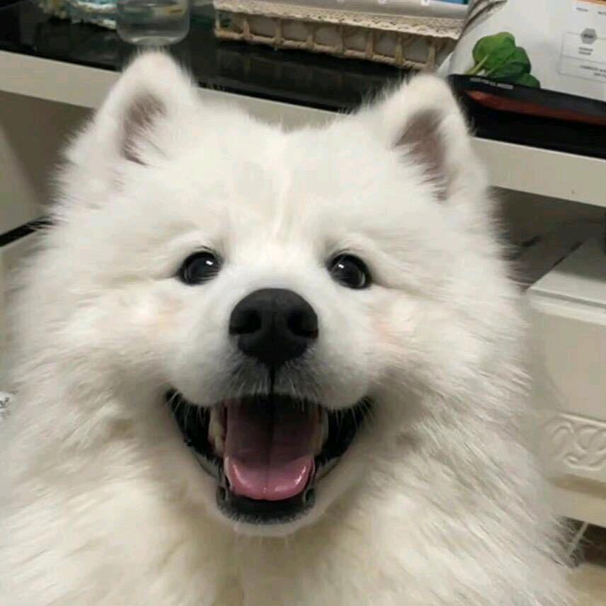 耶耶