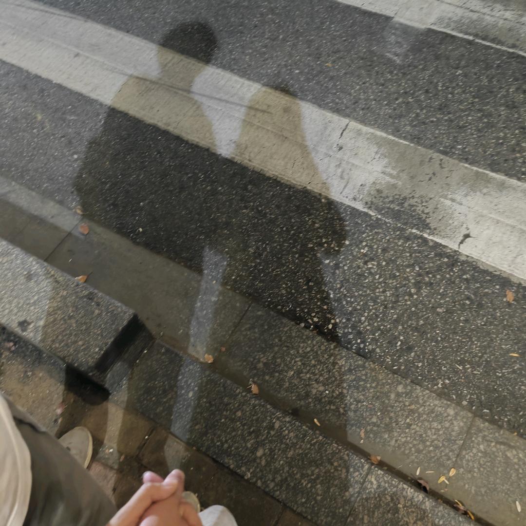 小树૮ ˙Ⱉ˙ ა🌲