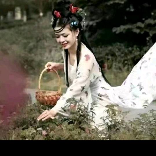 😊雪莲花忙碌见谅哈😊