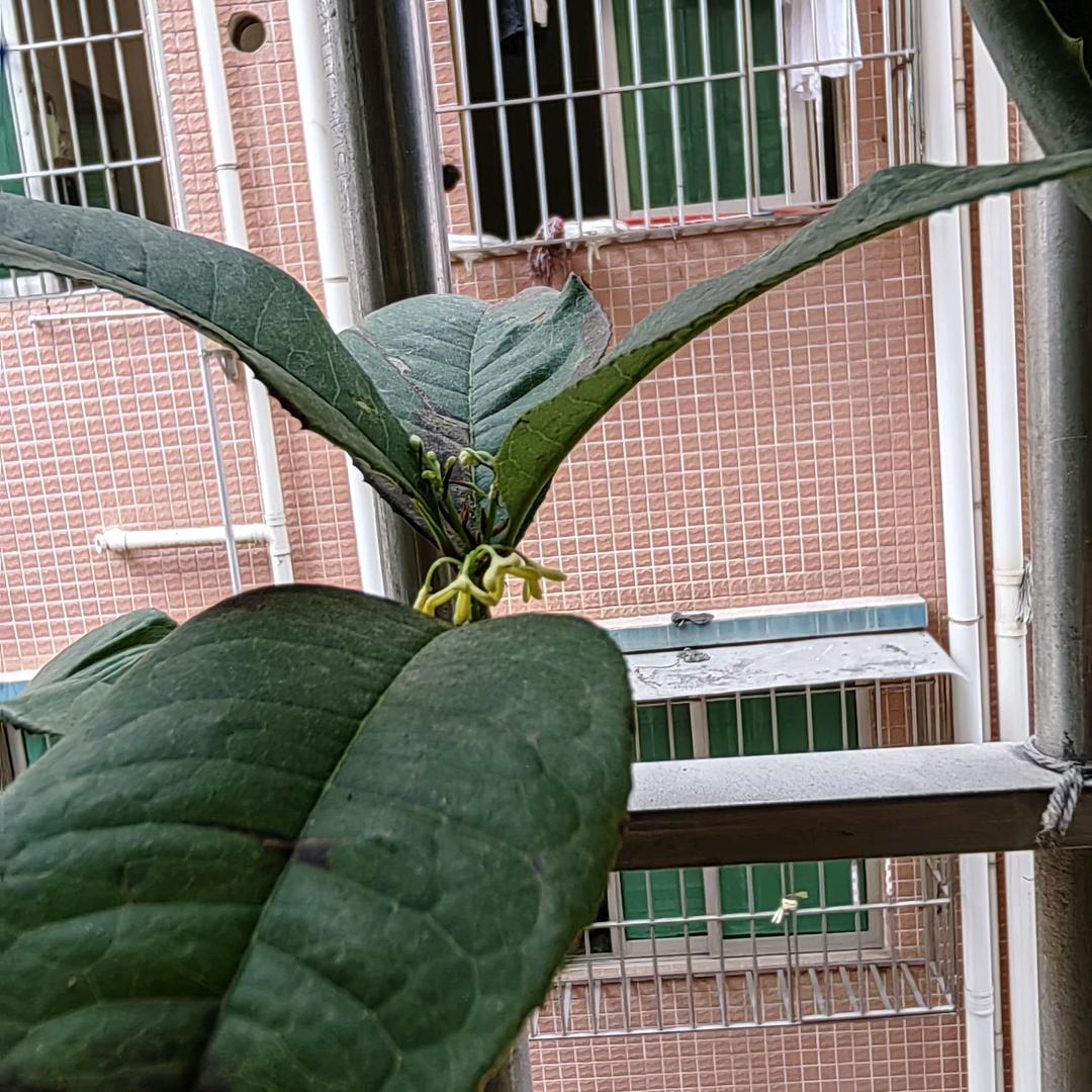 手机用户花好月圆